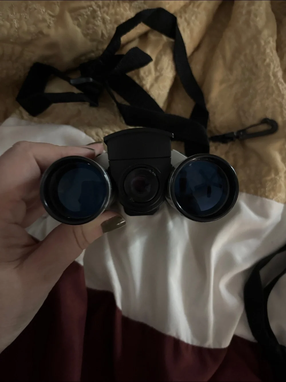 Bushnell Silver and Black Compact Binoculars with Triplet Lens